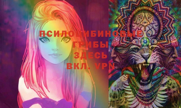 индика Наволоки