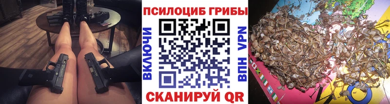 купить наркоту  Саяногорск  Псилоцибиновые грибы Cubensis 